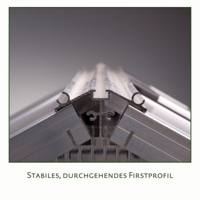 Växthus 8 kvm stormsäkert KGT Rose III 