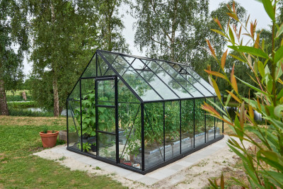 Växthus Halls Universal 128 10 kvm med glas - Svart F09580